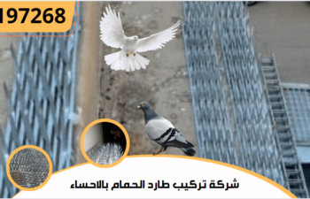 شركة تركيب طارد الحمام بالاحساء