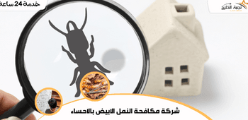 شركة مكافحة النمل الابيض بالاحساء